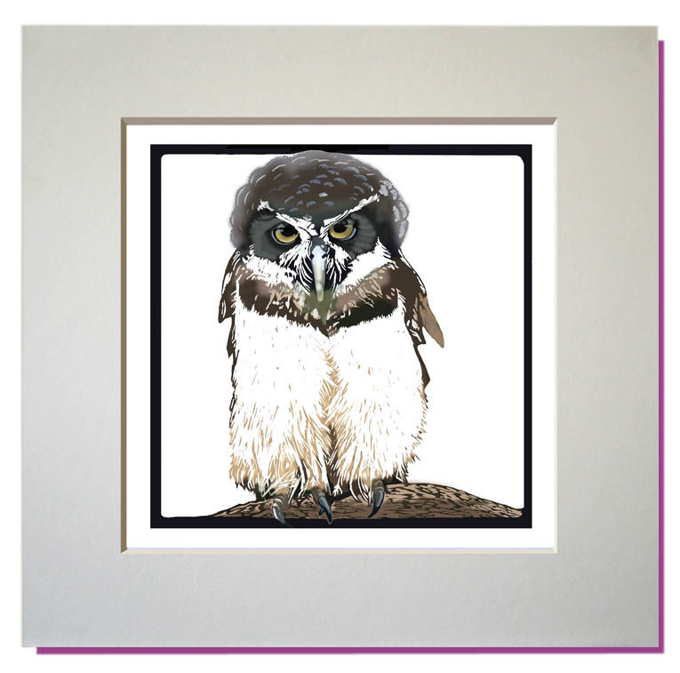 small mounted print mexican owl
